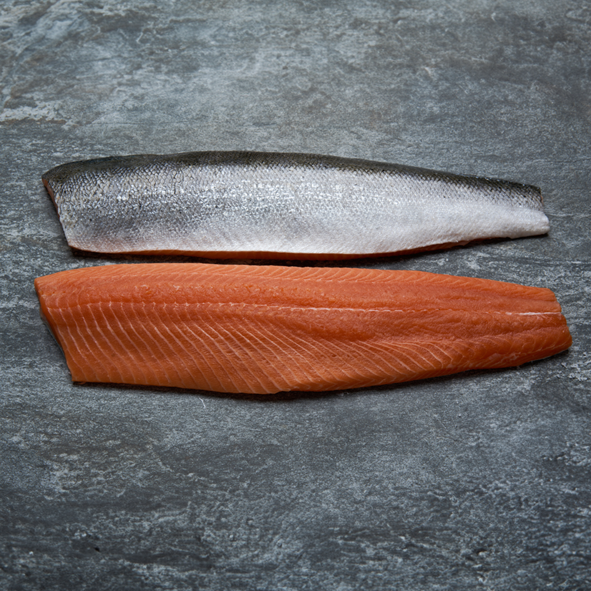 Fresh Salmon Fillet